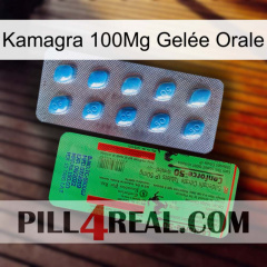 Kamagra 100Mg Gelée Orale new03